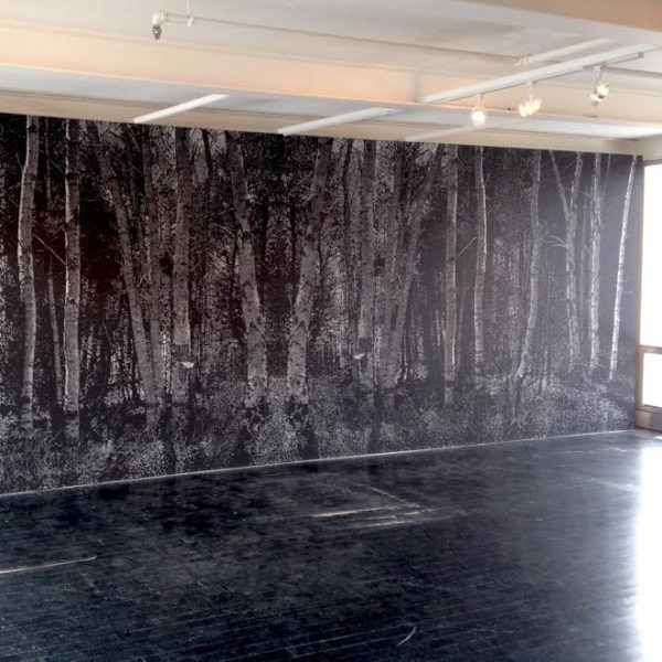 Assistant Professor of Art Rich Barlow's site-specific chalk wall drawing for the exhibition