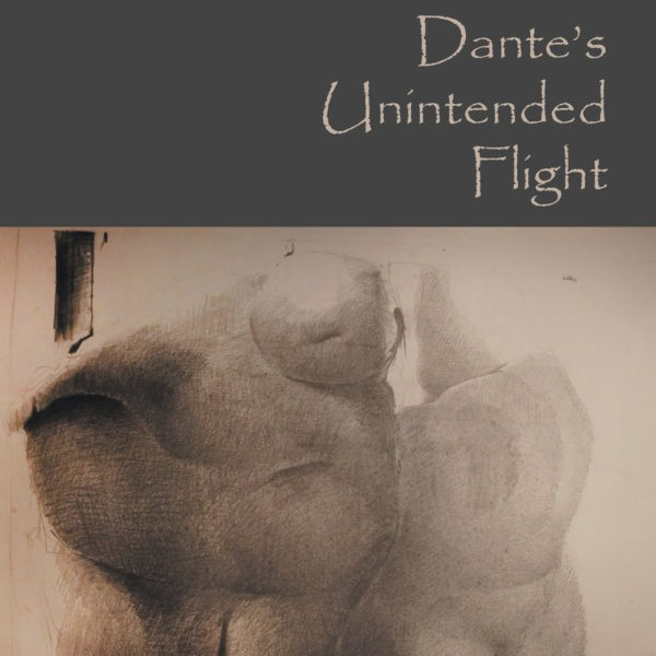 Cover of Emily Vogel's book