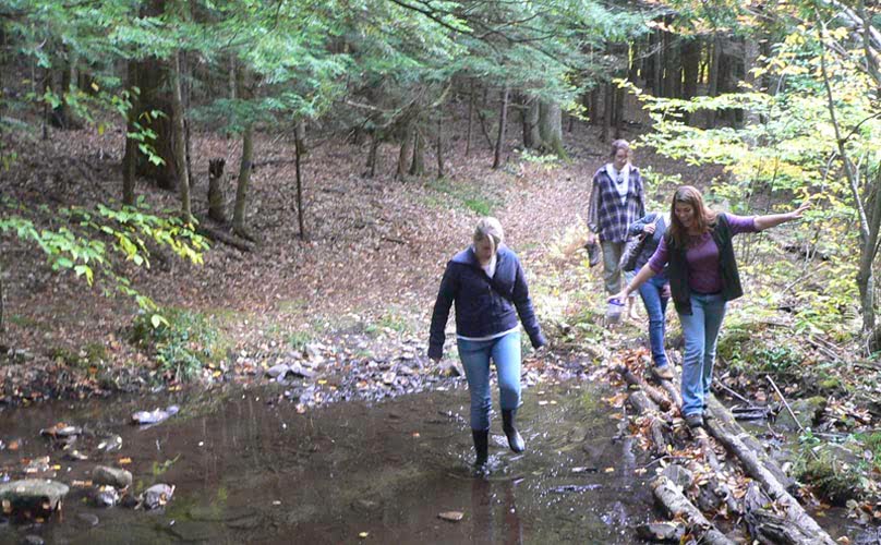 Hartwick students walking creek at Pine Lake Environmental Campus