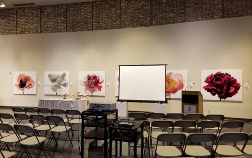 Anderson - Foreman Gallery