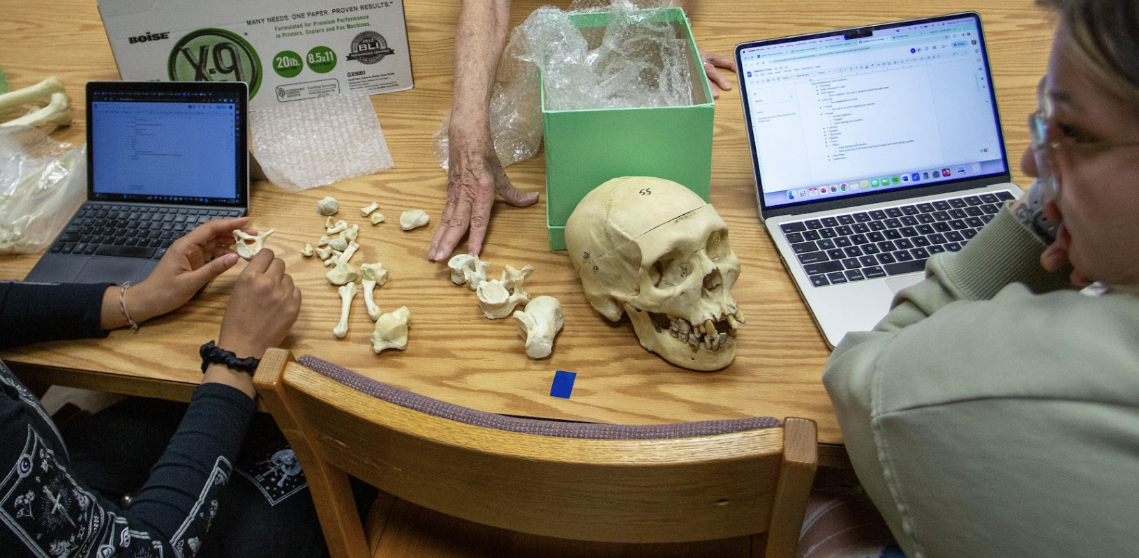 Skull and bones being studies in Forensics Criminal Justice lab
