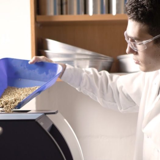 Student in a lab