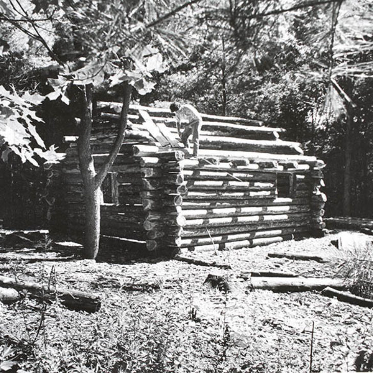 Hartwick student building log cabin at Pine Lak
