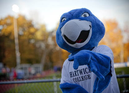 Swoop, Hartwick College Mascot
