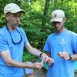 Hartwick College biology student with faculty in the field studying crayfish at Pine Lake Environmental Campus