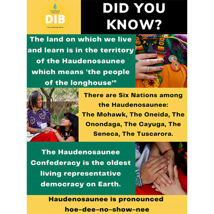 DIB Informational Poster for Native American History Month