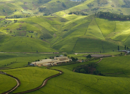 Rwandan University