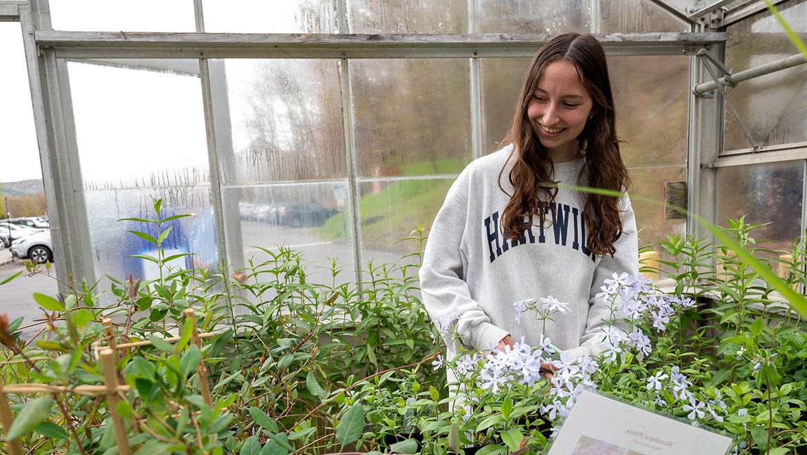 Hartwick College student during native plant sale held at Student Showcase 2023 in Hartwick Greenhouse