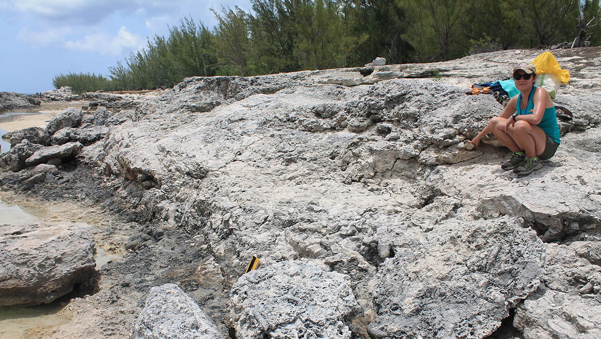 Skylar Kortright '17 when she traveled in 2015 with Griffing to San Salvador Island, Bahamas to do field research on the fossil reef exposed in the Cockburn Town Quarry.