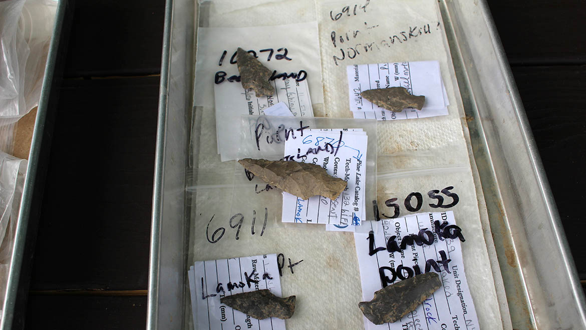 Arrowhead artifacts found at Field Archaeology School excavation site at Hartwick College's Pine Lake Environmental Campus