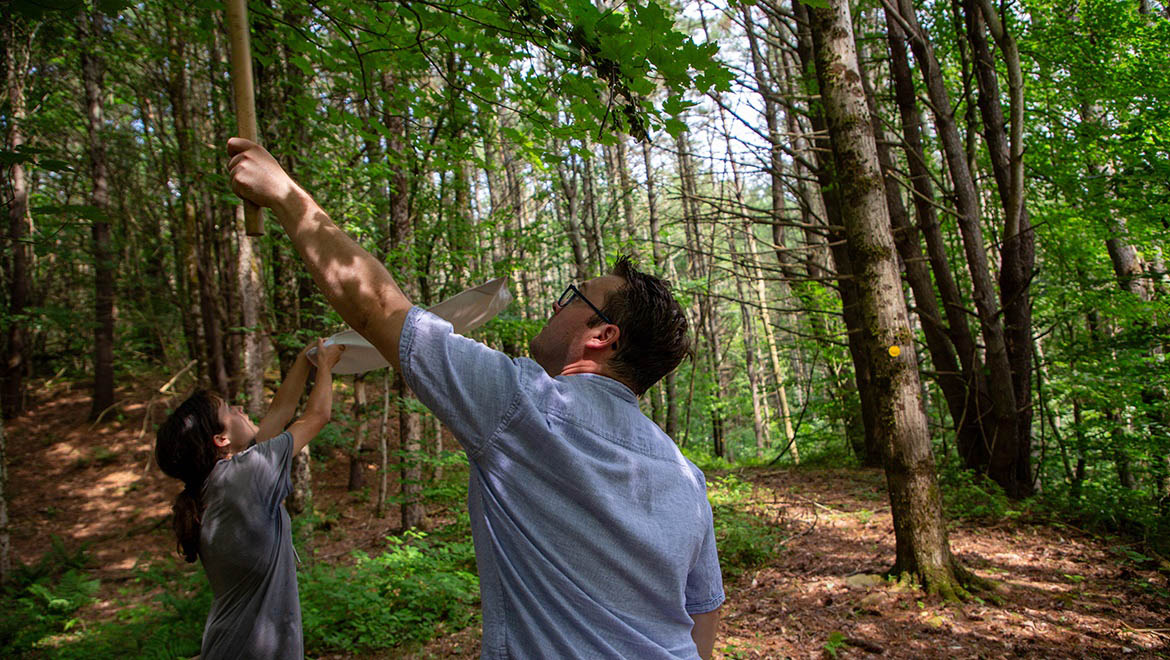 Alexander Sweger, assistant professor of biology and Bryn Haas '26 sampling spiders at Hartwick College's Pine Lake Environmental Campus