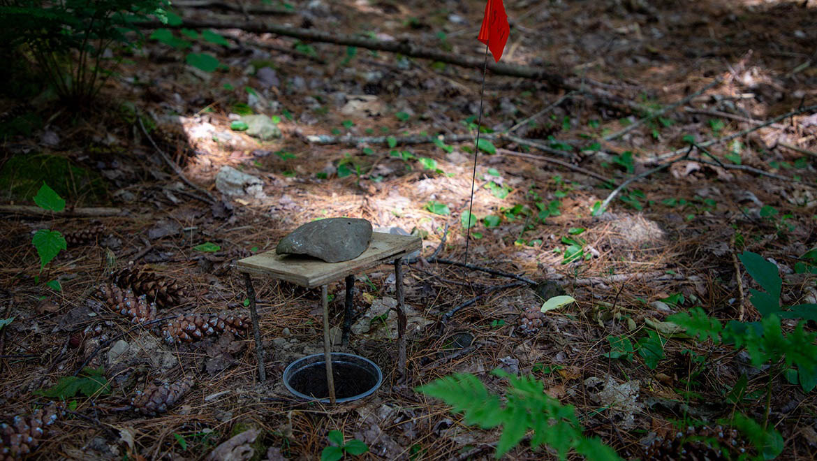 sampling ground spiders at Hartwick College's Pine Lake Environmental Campus