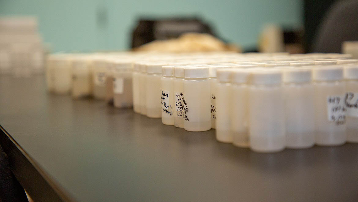 spider sample containers