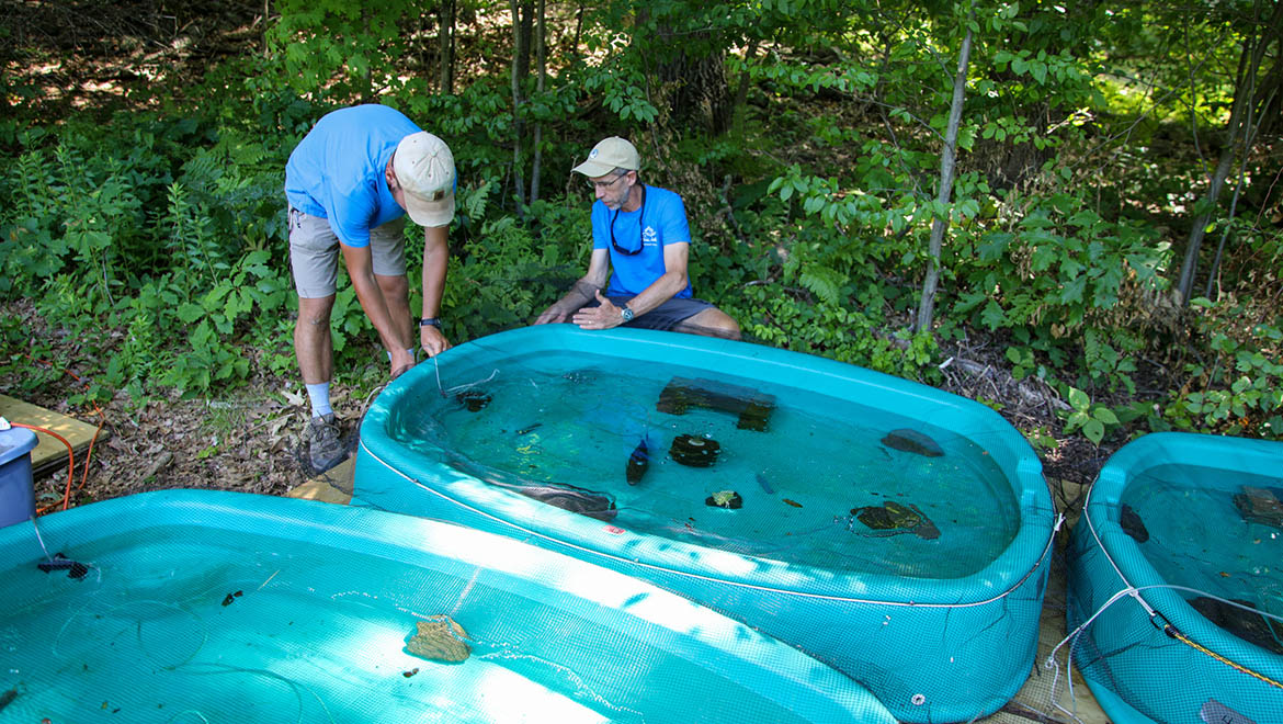 Hartwick College biology student with faculty mentor conducting aquatic life research at Pine Lake Environmental campus