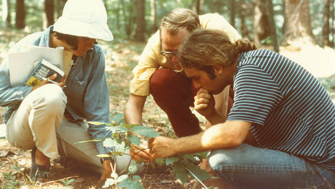 Pine Lake students with professor study plants 1970s