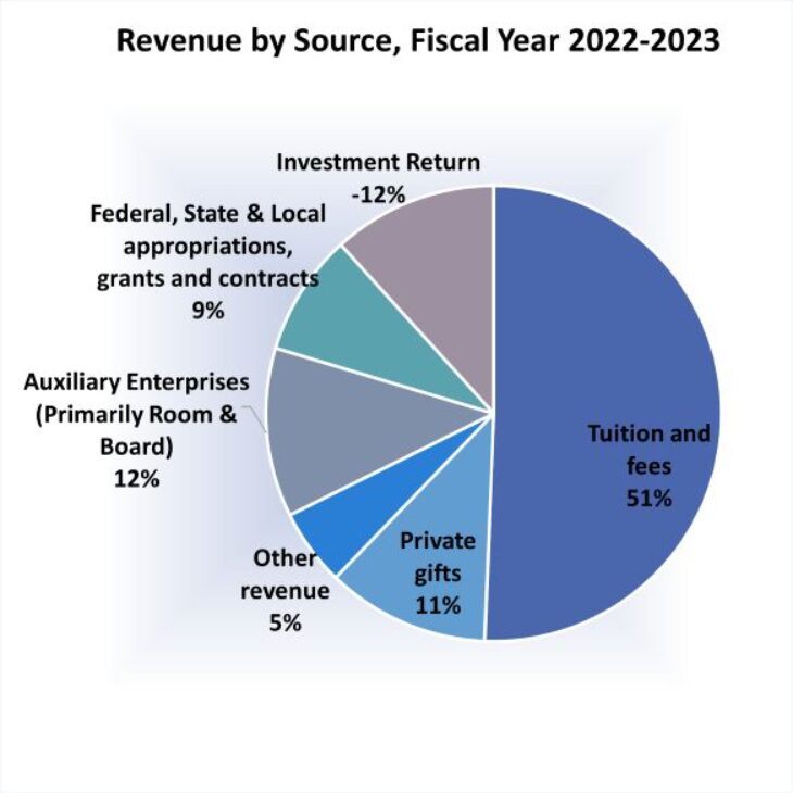Revenue by source pie chart