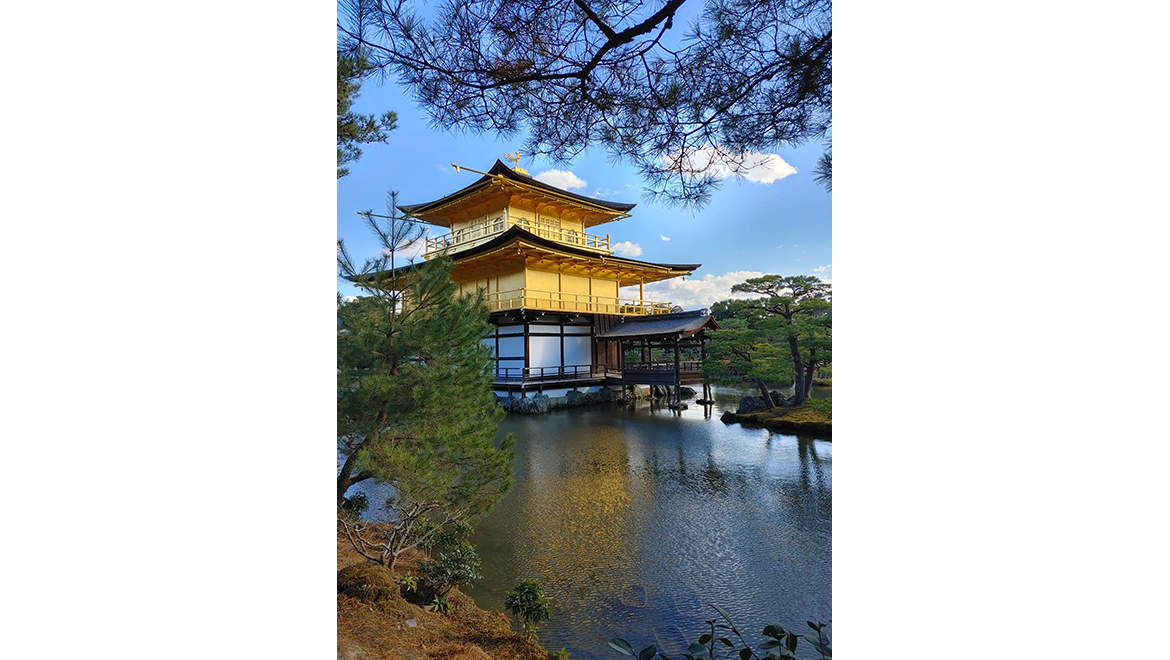 Pinki Srivastava Kinkakuji Kyoto, Japan