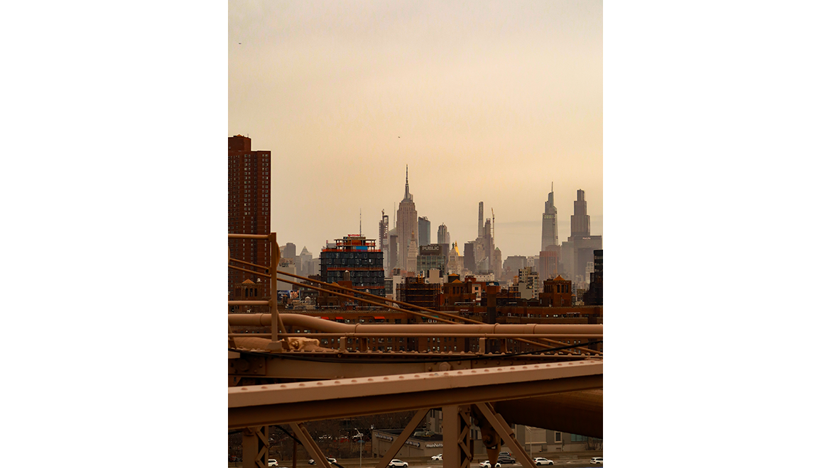 Concrete Jungle Melissa Guelgoer, NYC