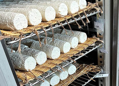 Aging cheese process and production in Portugal