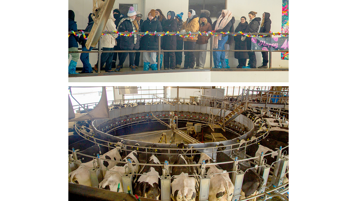 Hartwick College nursing students in dairy barn with cows