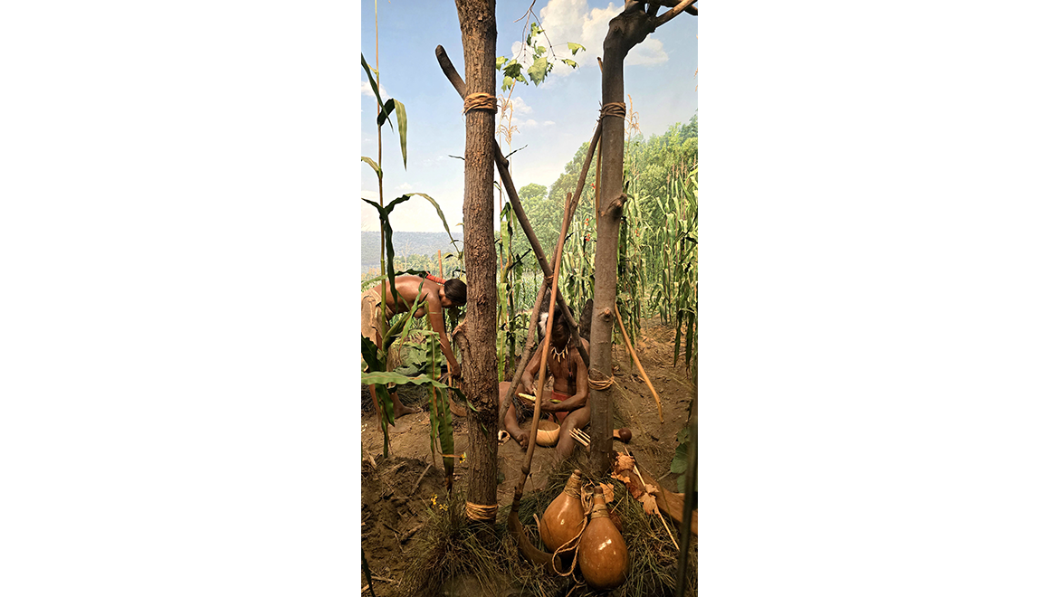 A timeless glimpse into the ‘Three Sisters’ tradition in exhibition