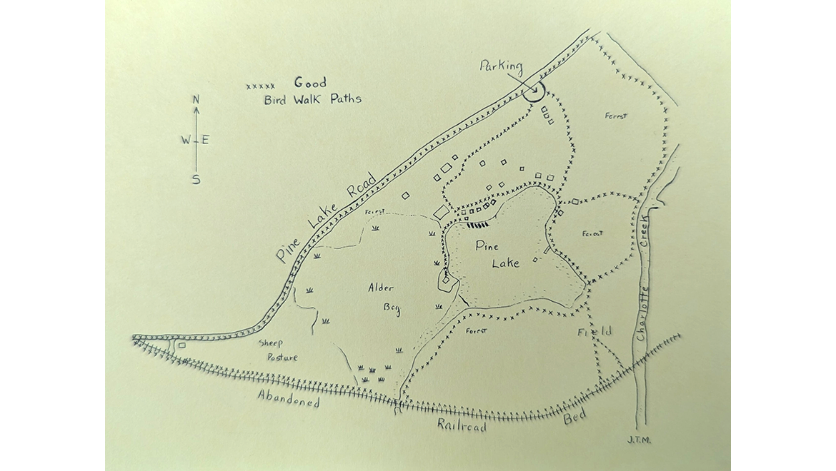 Pine Lake Birding Activities | Hartwick College
