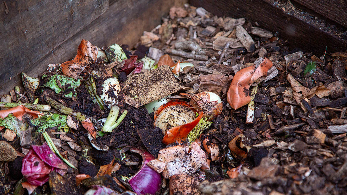 Compost material and food scraps in compost bin