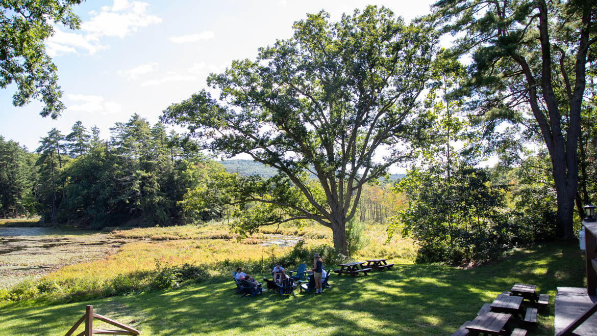 Five people relaxing in Adirondack chairs on a grassy lawn next to Pine Lake, shaded by a large tree, with a forest and hills in the background.